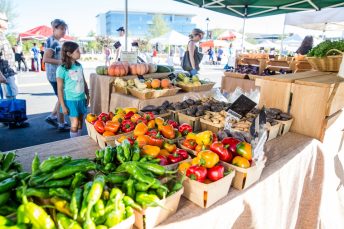 Vegetables at the Sandy Springs Farmers Market